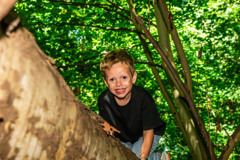 Boy in a black T-shirt grinning as he climbs a leaning sycamore trunk under the canopy