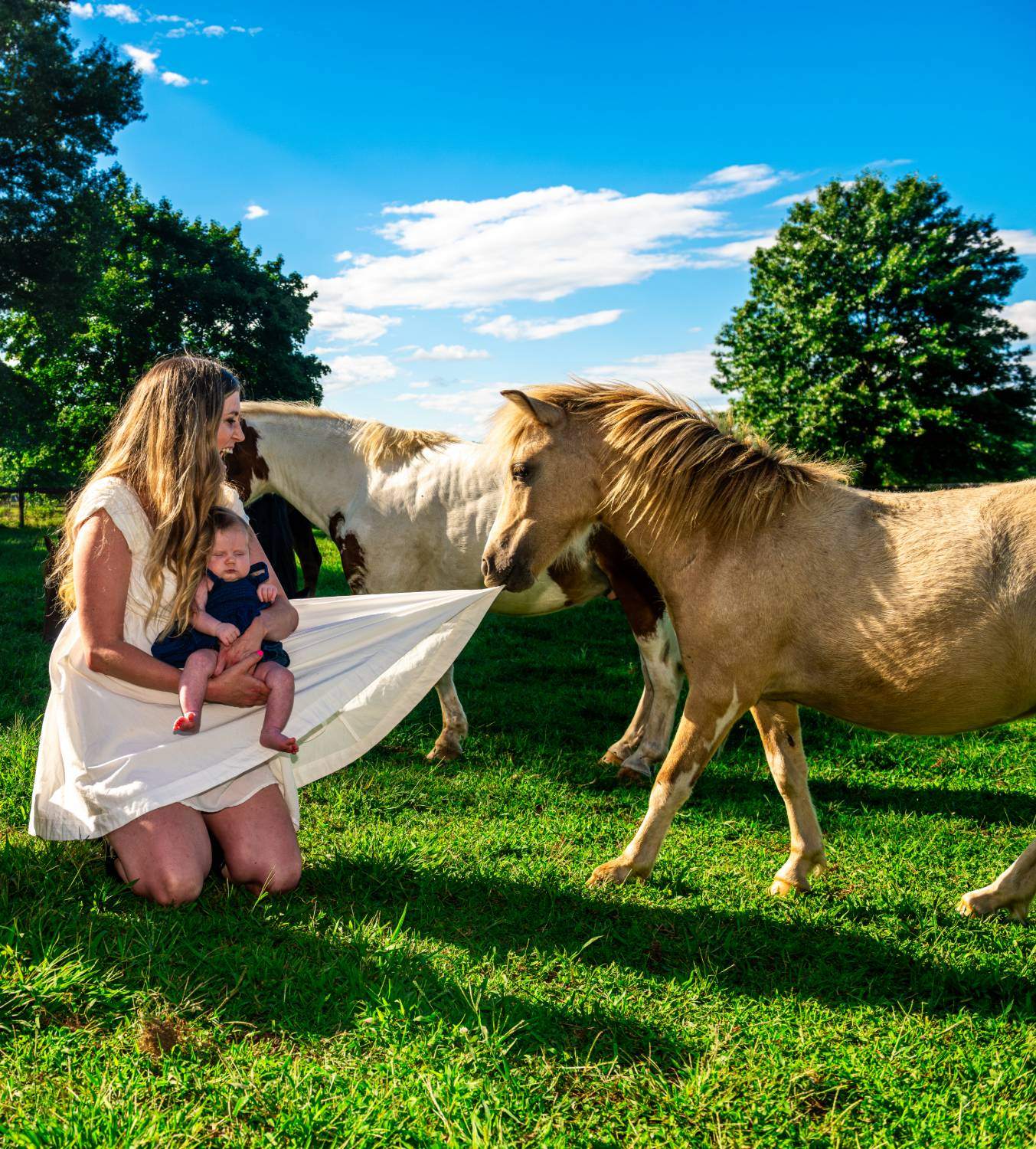 Mother kneeling in a sunny pasture with her newborn as a pony tugs the hem of her white dress