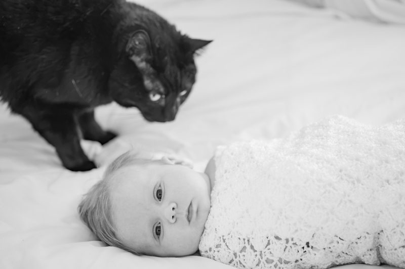 Black-and-white frame of a black cat sniffing a newborn swaddled in a white knit wrap on the bed