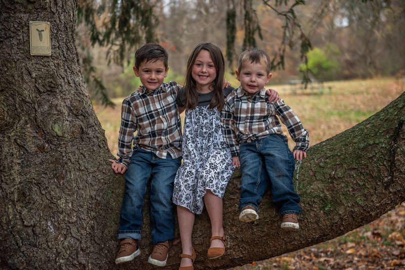Three siblings in plaid seated along a tree branch during a family portrait session
