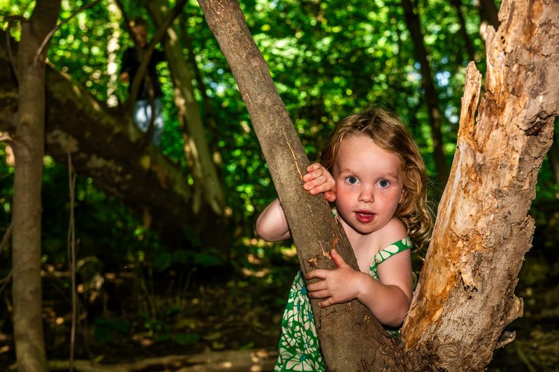 Toddler in a daisy-print dress peeking around a tree trunk in deep woodland shade, eyes wide