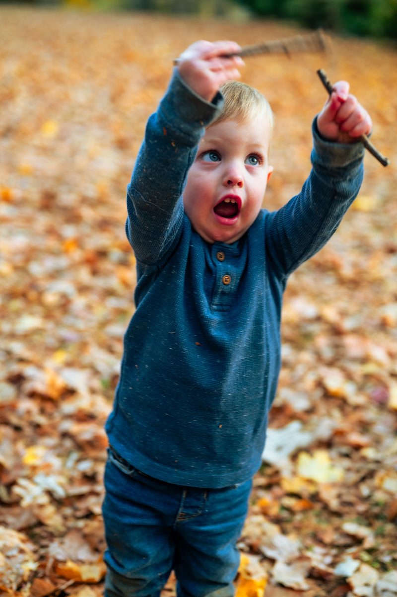 Toddler in a blue sweater raising two sticks overhead in a yard full of fallen leaves